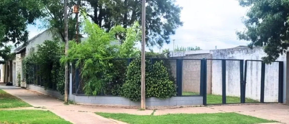 dolores-1170x503 (1)