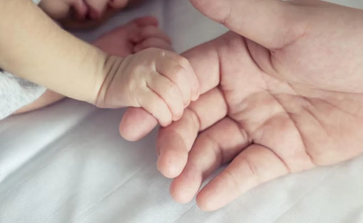 IMG-20260109-WA0040(1)