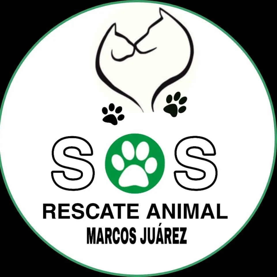 FB_IMG_1741053852799